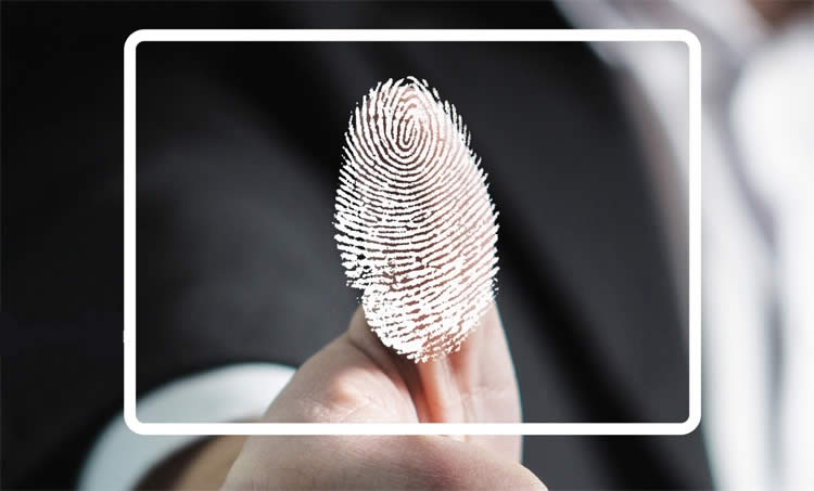 wht-164557-17_2.jpg wht-164557-17_2.jpg